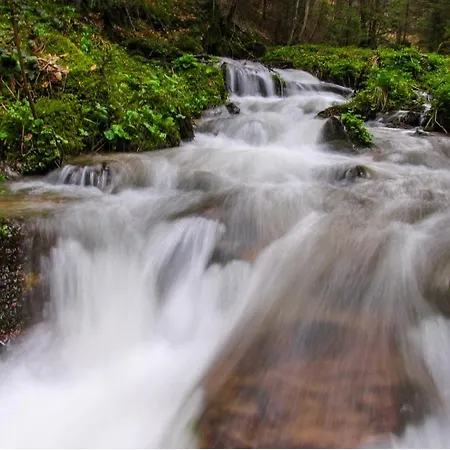 Pablo Bela Reka * Brzeće