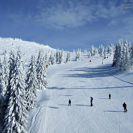 Appartement Pablo Bela Reka Brzeće