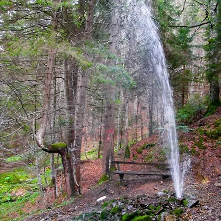 Appartement Pablo Bela Reka Brzeće