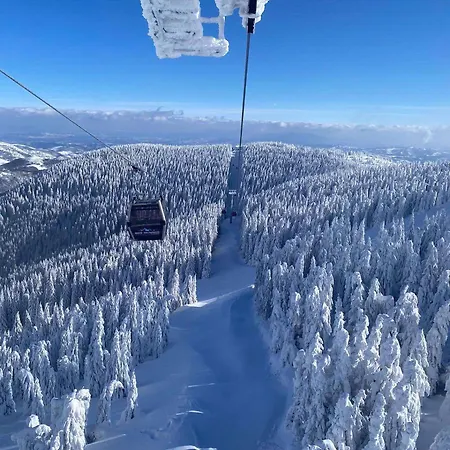 Appartement Pablo Bela Reka *