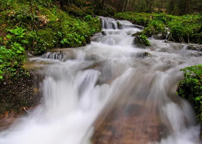 Pablo Bela Reka * Brzeće