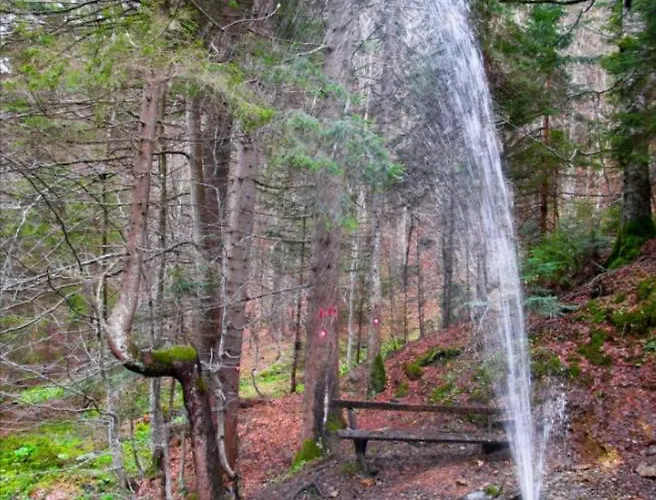 Apartmán Pablo Bela Reka Brzeće